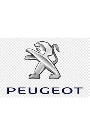 Veículo Seminovo Peugeot - Jair Automoveis em Mococa SP